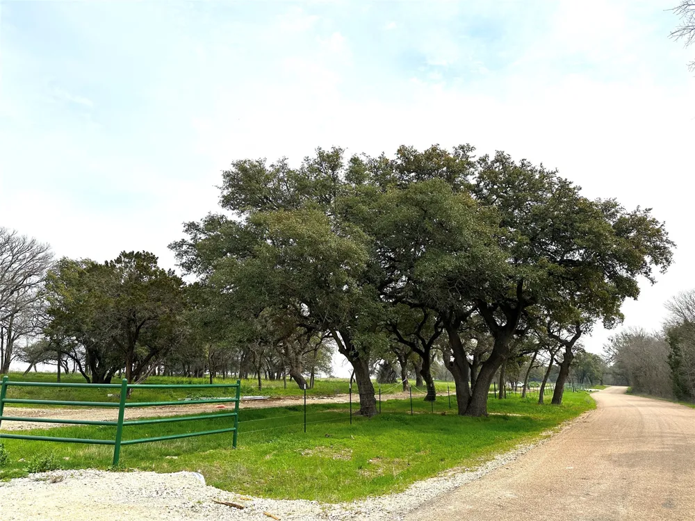 CR 356 ROAD Gatesville, TX 76528