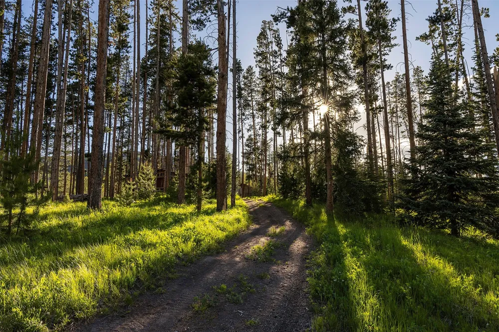 20850 Cheyenne Trail Oak Creek, CO 80467