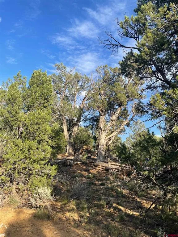 County Road 109 Hesperus, CO 81326