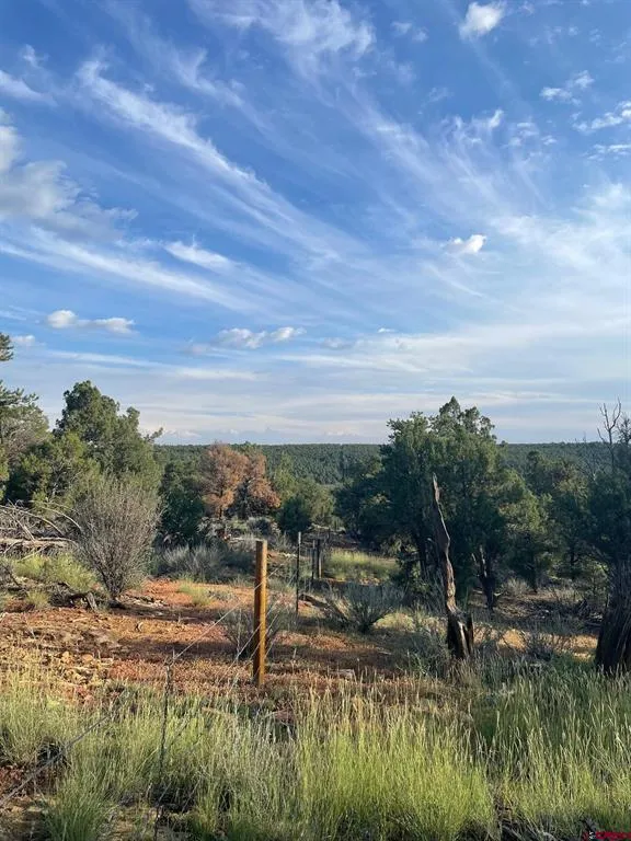 County Road 109 Hesperus, CO 81326