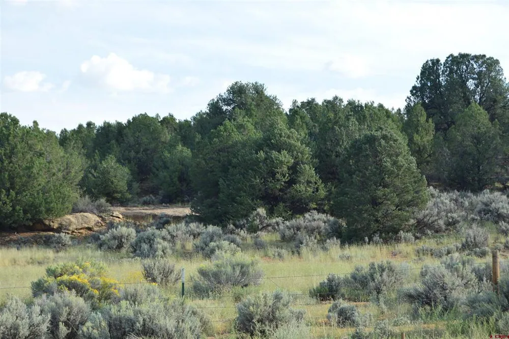 County Road 109 Hesperus, CO 81326