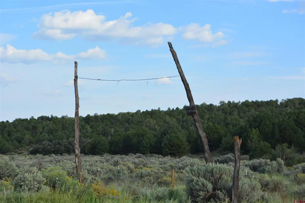 County Road 109 Hesperus, CO 81326