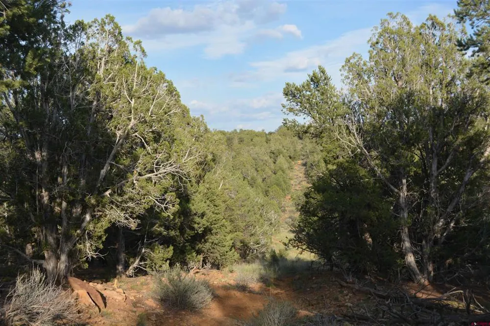 County Road 109 Hesperus, CO 81326
