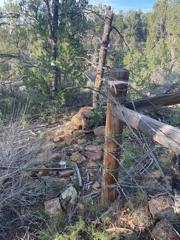County Road 109 Hesperus, CO 81326