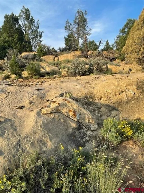 County Road 109 Hesperus, CO 81326