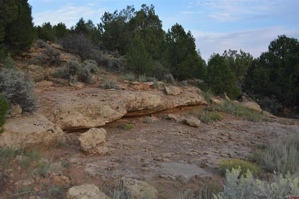 County Road 109 Hesperus, CO 81326