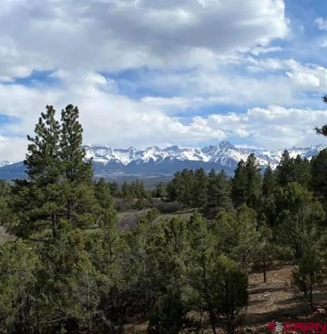 294 Marmot Drive Ridgway, CO 81432