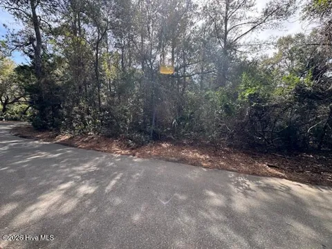 4 Dowitcher Trail
