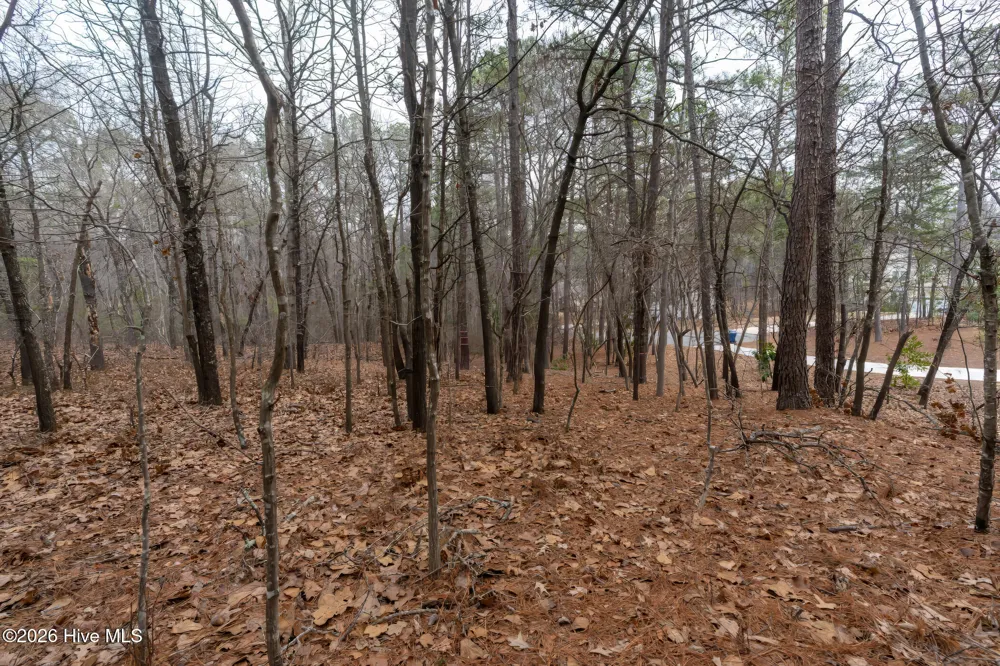 102 Ramsgate Court Seven Lakes, NC 27376