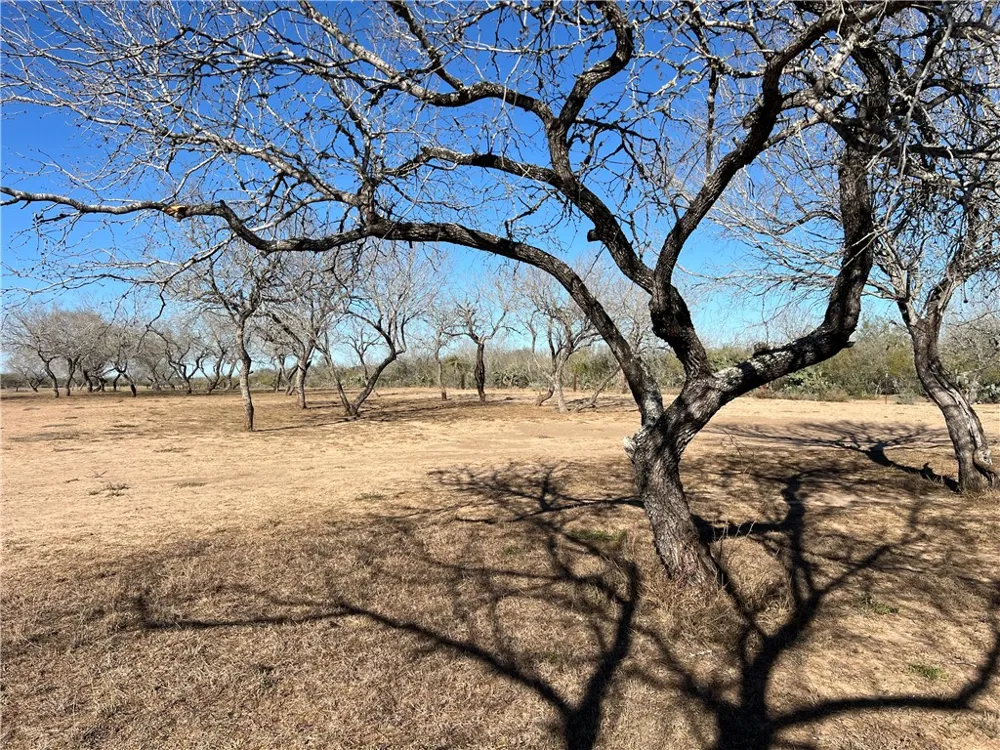 4493 W Highway 359 Benavides, TX 78341
