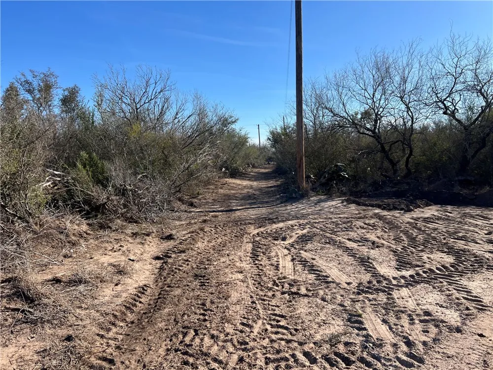 4493 W Highway 359 Benavides, TX 78341