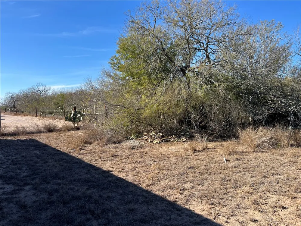 4493 W Highway 359 Benavides, TX 78341