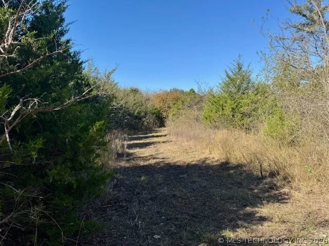 2 Slab Road Wapanucka, OK 73461