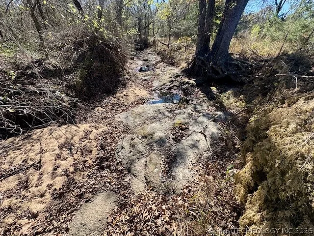 2 Slab Road Wapanucka, OK 73461