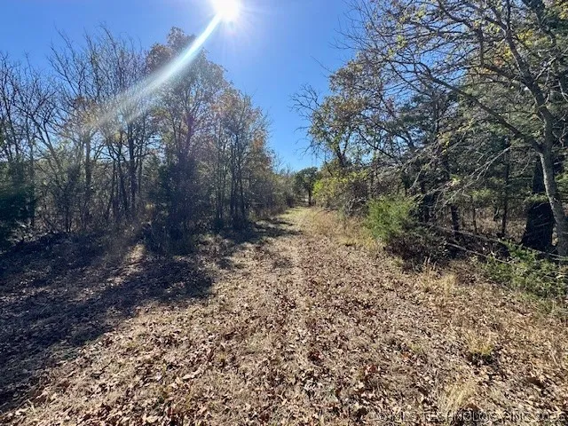 2 Slab Road Wapanucka, OK 73461
