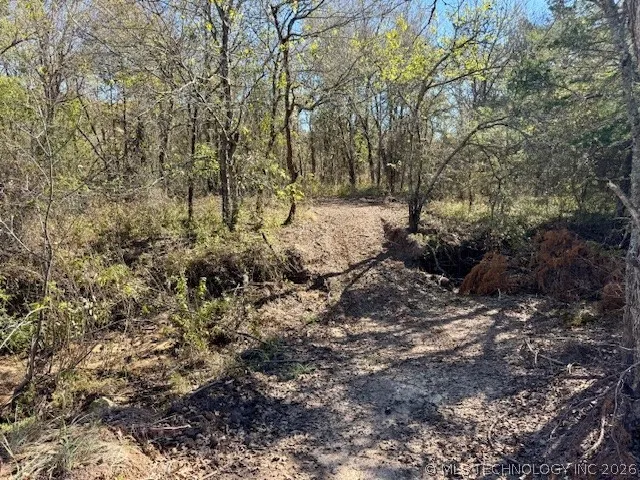 2 Slab Road Wapanucka, OK 73461