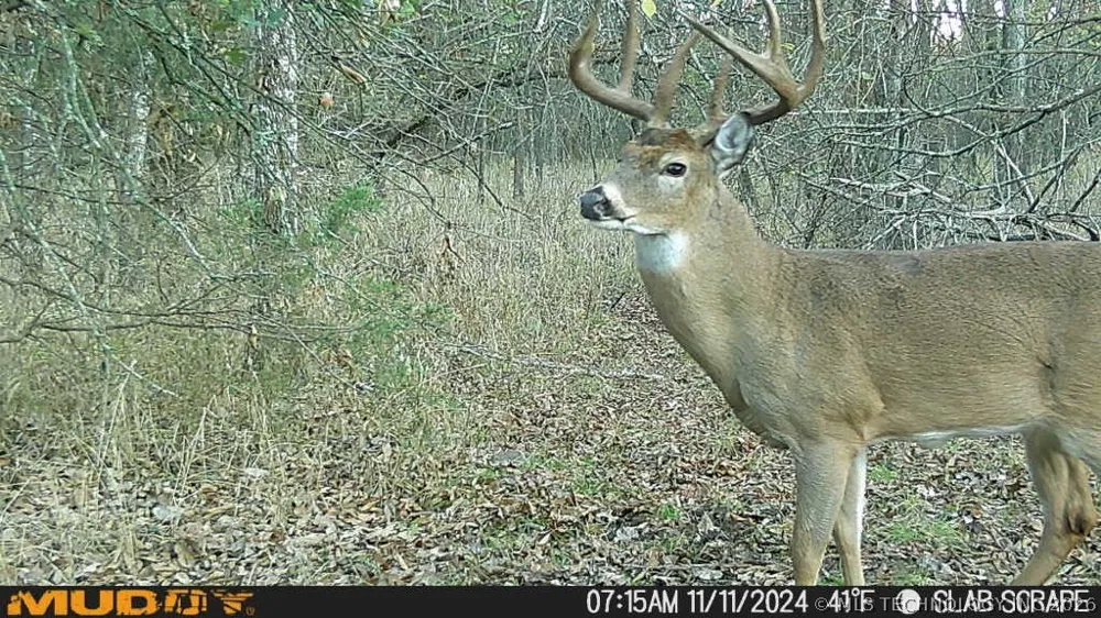 2 Slab Road Wapanucka, OK 73461