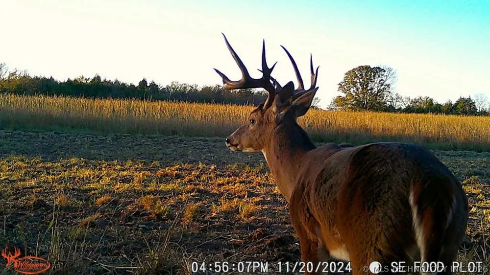 2 Slab Road Wapanucka, OK 73461