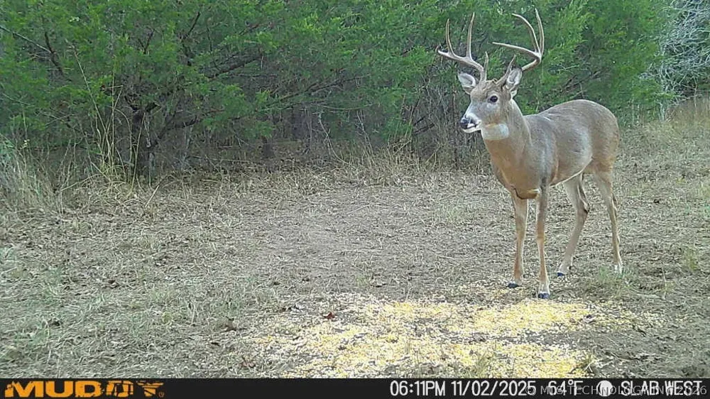 2 Slab Road Wapanucka, OK 73461