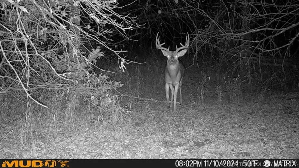 2 Slab Road Wapanucka, OK 73461
