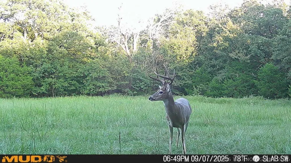 2 Slab Road Wapanucka, OK 73461