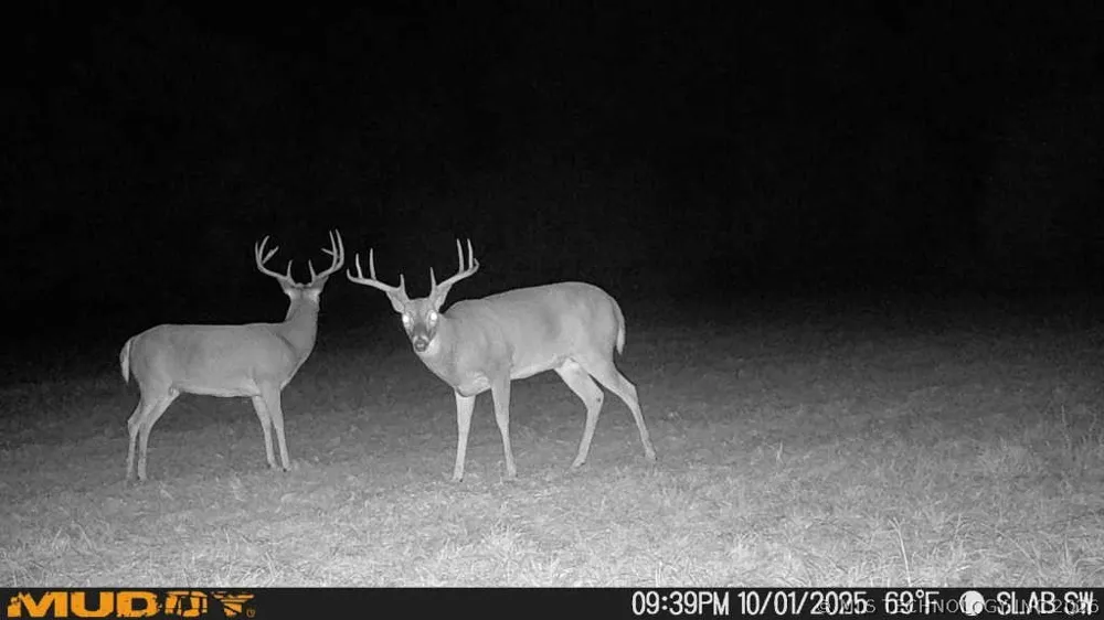 2 Slab Road Wapanucka, OK 73461