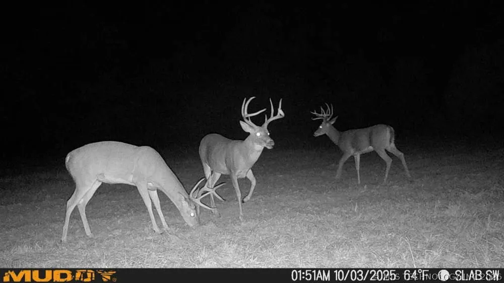 2 Slab Road Wapanucka, OK 73461