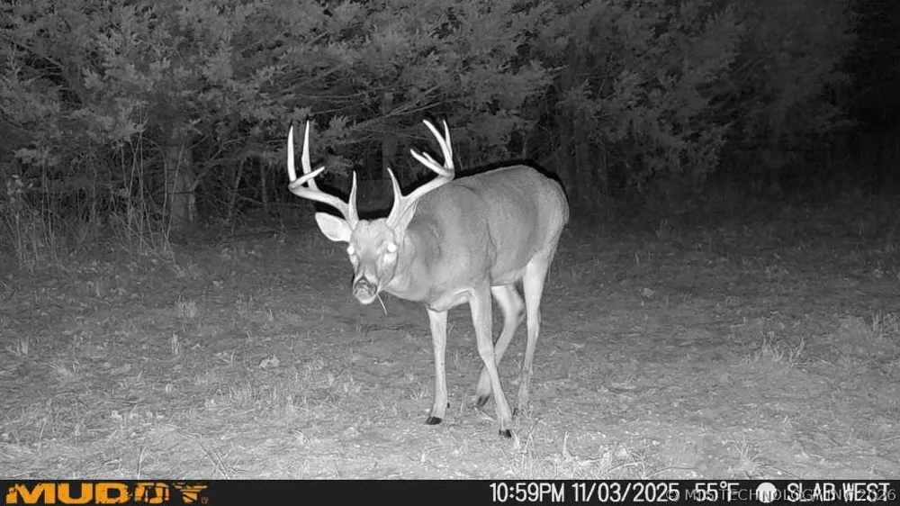 2 Slab Road Wapanucka, OK 73461