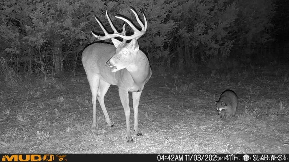 2 Slab Road Wapanucka, OK 73461
