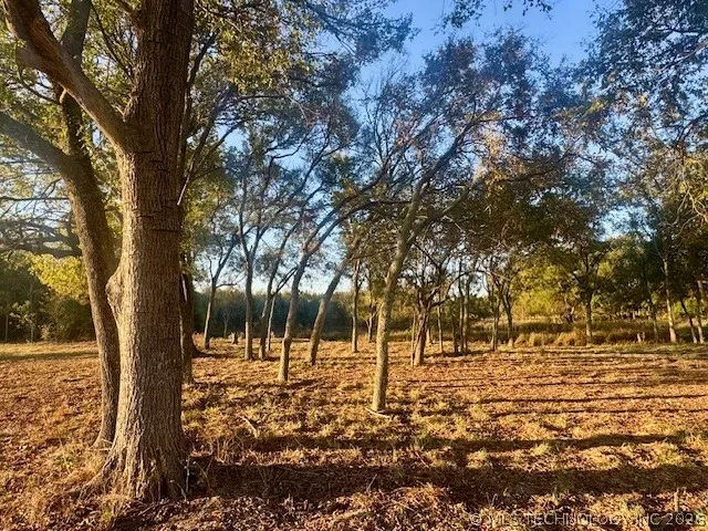 2 Slab Road Wapanucka, OK 73461