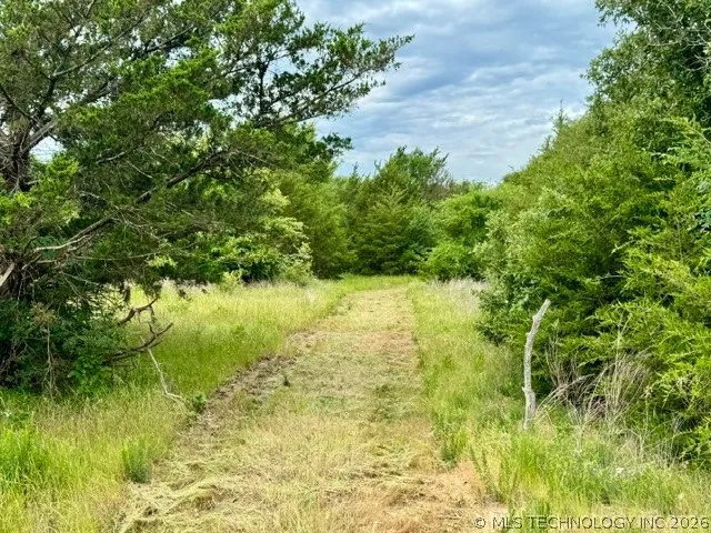 2 Slab Road Wapanucka, OK 73461