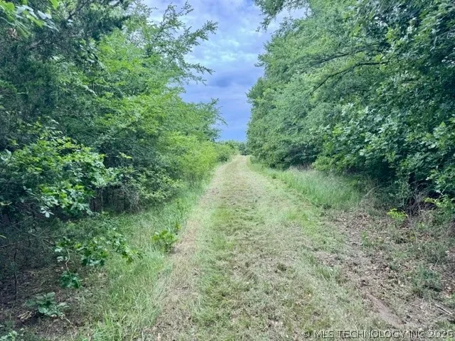 2 Slab Road Wapanucka, OK 73461