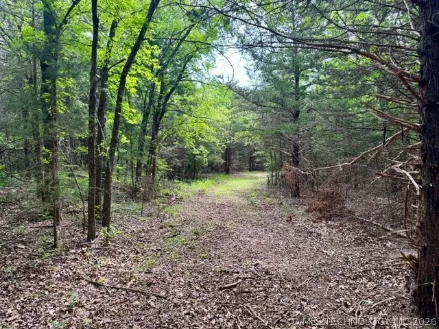 2 Slab Road Wapanucka, OK 73461