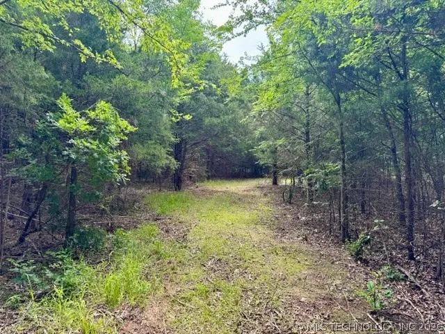 2 Slab Road Wapanucka, OK 73461