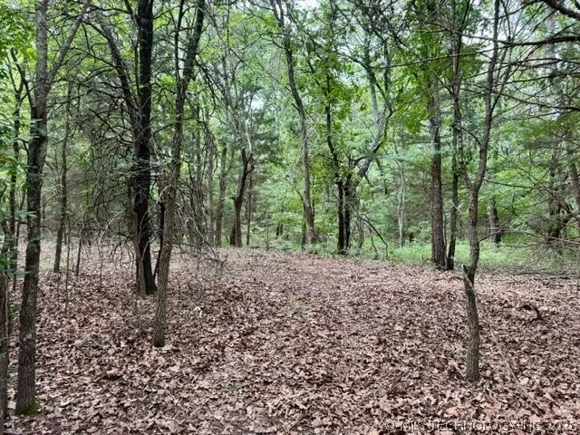 2 Slab Road Wapanucka, OK 73461