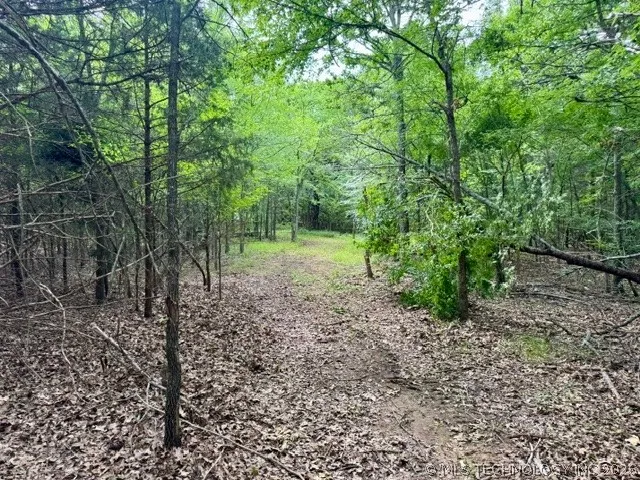2 Slab Road Wapanucka, OK 73461