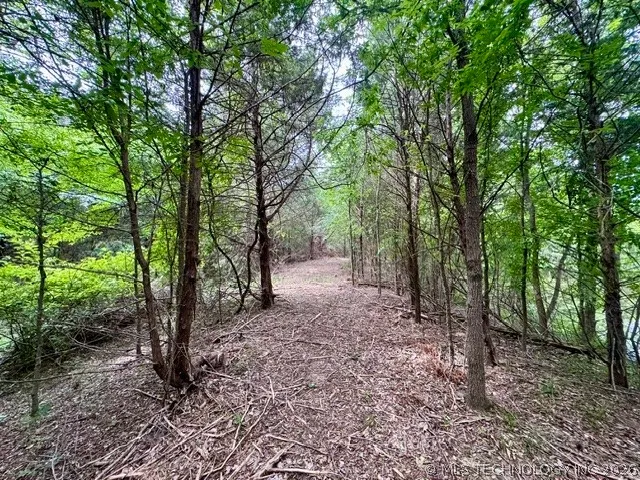 2 Slab Road Wapanucka, OK 73461