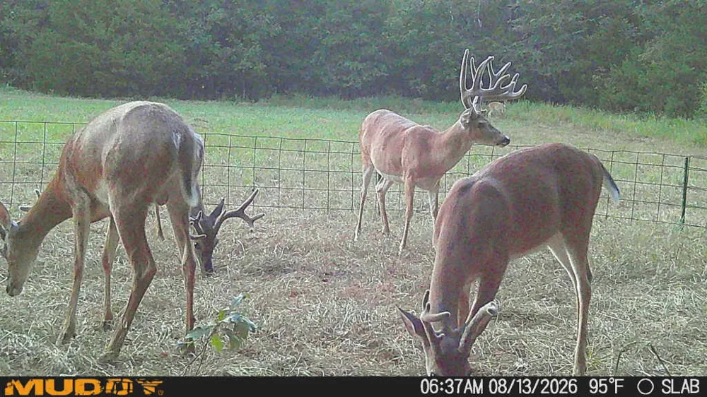 2 Slab Road Wapanucka, OK 73461