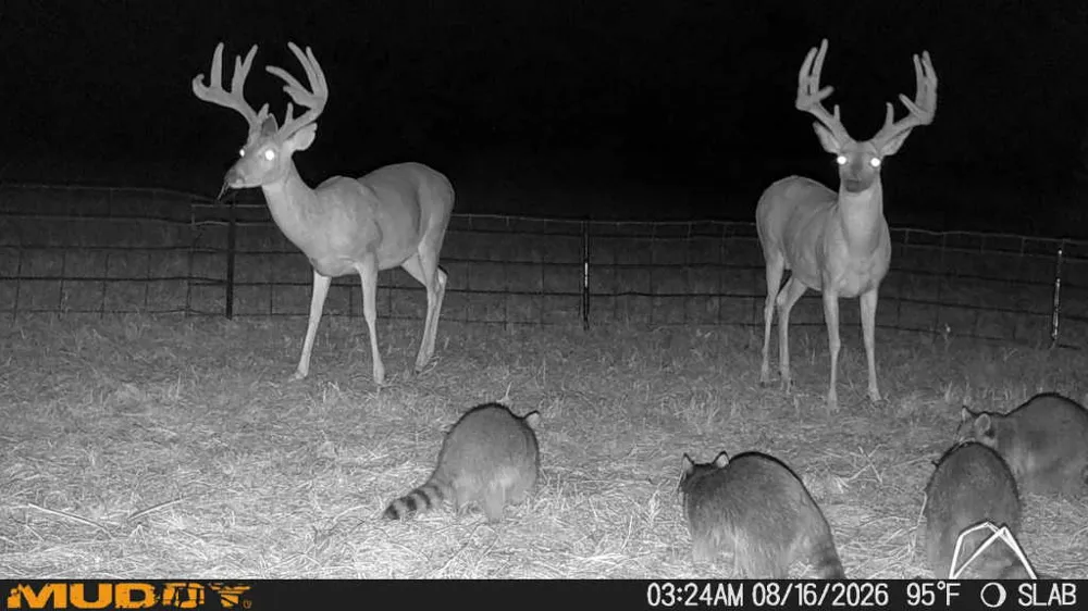 2 Slab Road Wapanucka, OK 73461