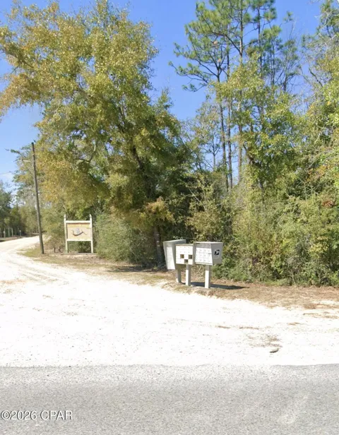 Blue Springs Road