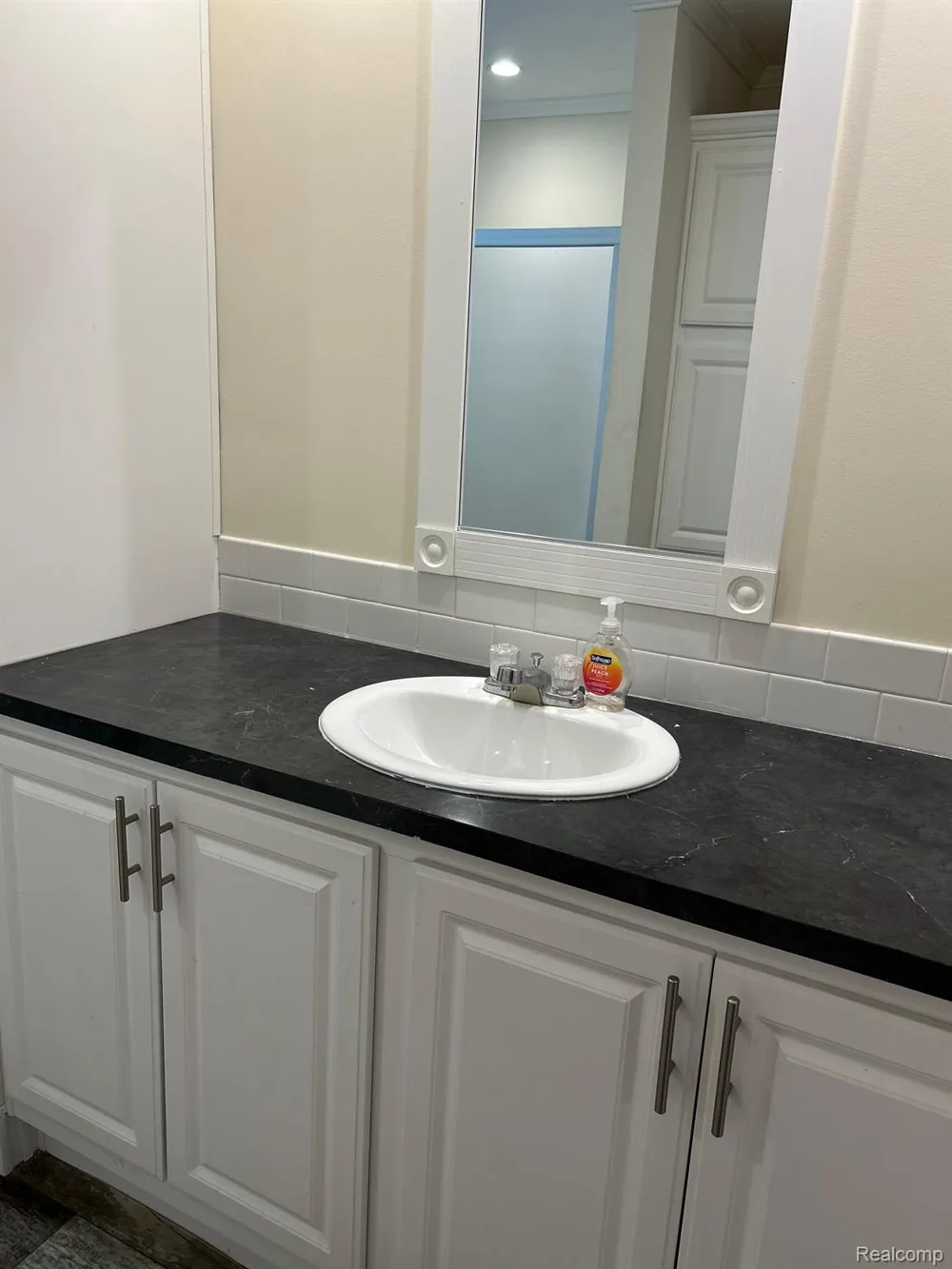 1698 SOLO LANE Frenchtown Township, MI 48166