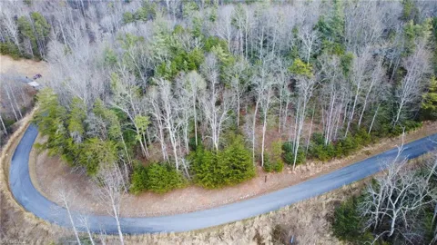 TBD Ashe View Drive