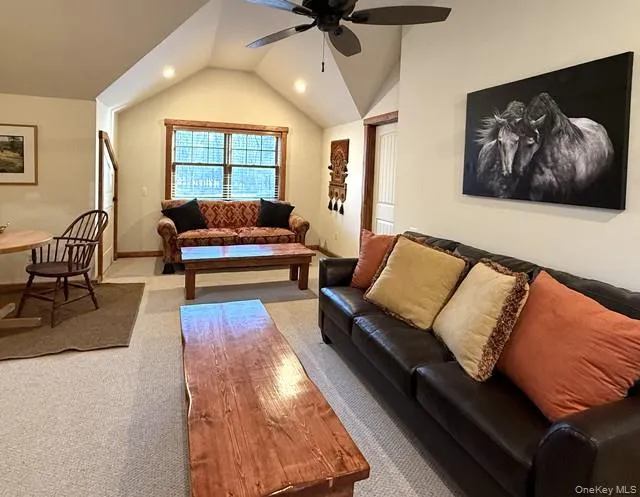 55 Chapin Trail Bethel, NY 12720