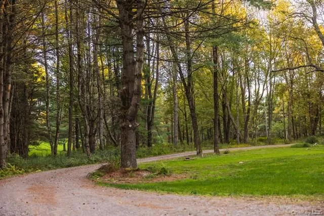 55 Chapin Trail Bethel, NY 12720