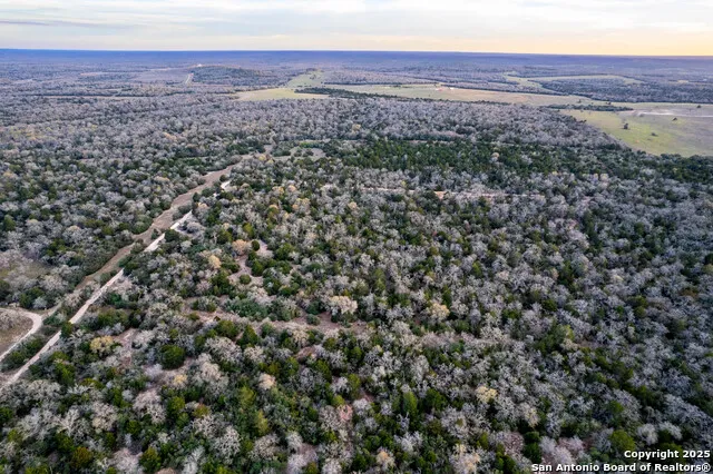 1512 Boulder Lane Harwood, TX 78632