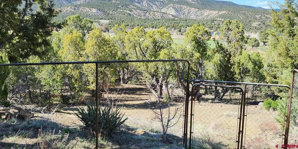 940 County Road 973 Arboles, CO 81121