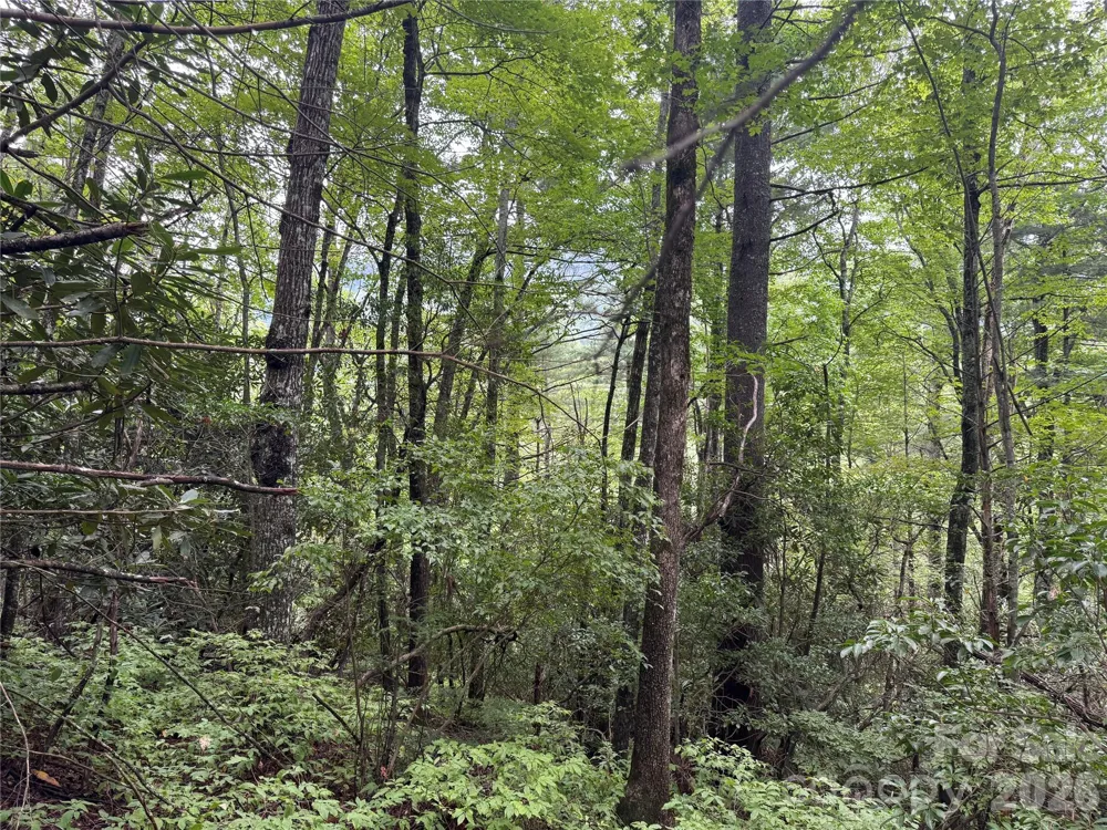 66 W Christy Trail Sapphire, NC 28774