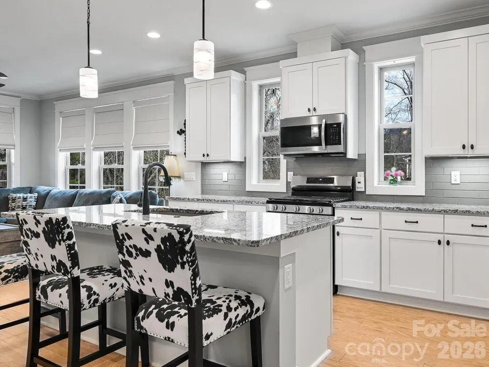 554 Sweet Birch Park Lane Black Mountain, NC 28711