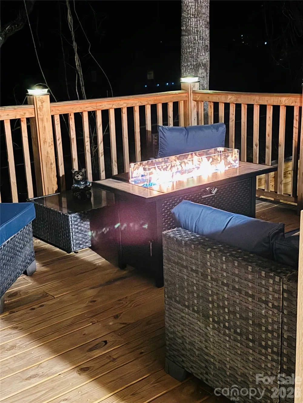 554 Sweet Birch Park Lane Black Mountain, NC 28711