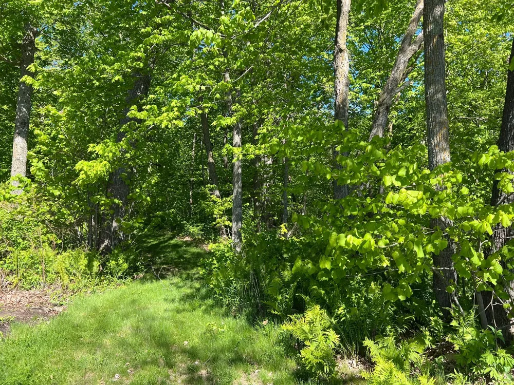 TBD Camper Landing Road NW Cass Lake, MN 56633